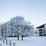 Dachstein 12 By Interhome * Flachau
