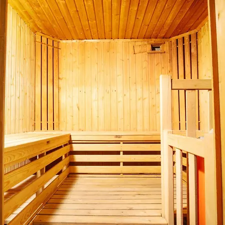 Dachstein 12 By Interhome * Flachau