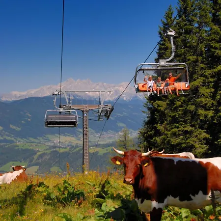 Daire Dachstein 12 By Interhome *