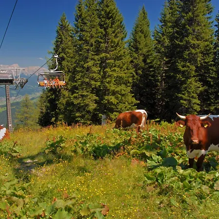 شقة Dachstein 12 By Interhome فلاخاو