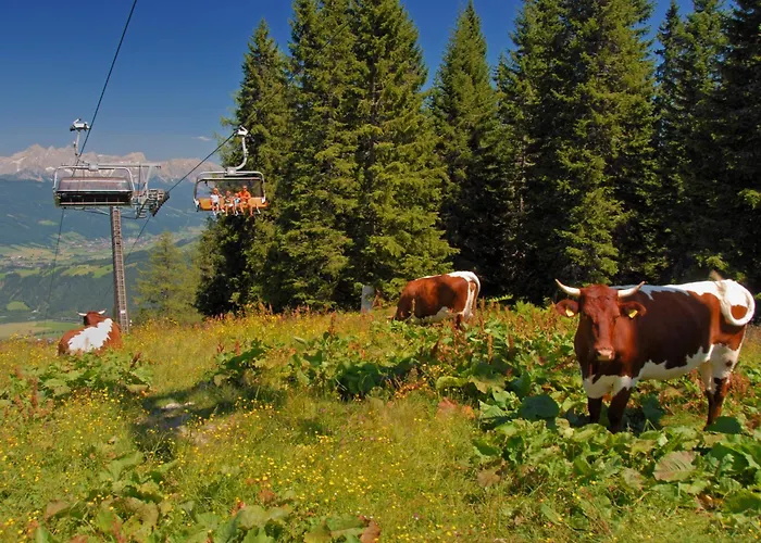 Apartment Dachstein 12 By Interhome Flachau